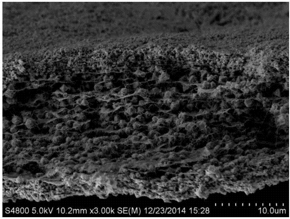 Production method of flexible self-support lithium-sulfur-battery positive-electrode material