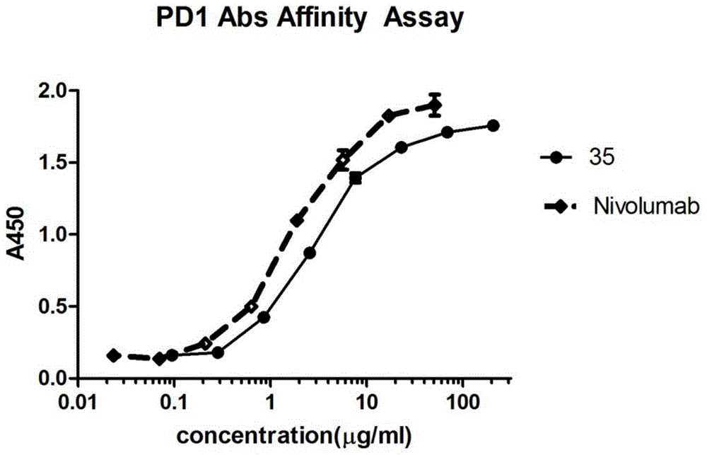 Anti-PD-1 (programmed cell death-1) humanized antibody
