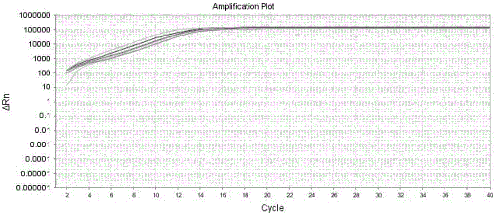 Fluorescent quantitative PCR (polymerase chain reaction) detection kit for TYMS (thymidylate synthase) gene expression quantity and application of kit