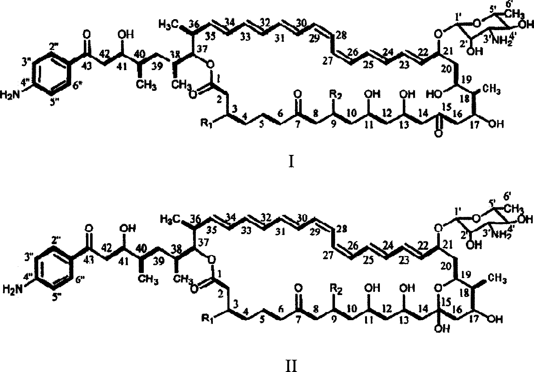 Decarboxylated FR-008 derivative polyketone antibiotic and use thereof