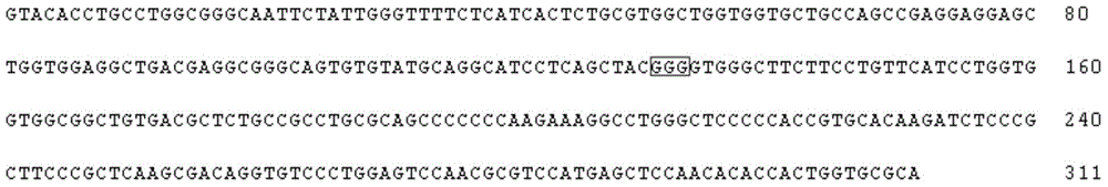 Method and oligonucleotide for detecting fgfr3 G380R site mutation