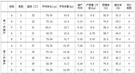 Fermented traditional Chinese medicine microbial preparation for grass broodstock and preparation method thereof