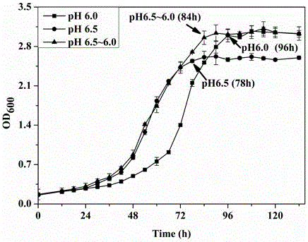 Method for shortening high-salt fermentation period of lactic acid bacteria by controlling pH of two phases