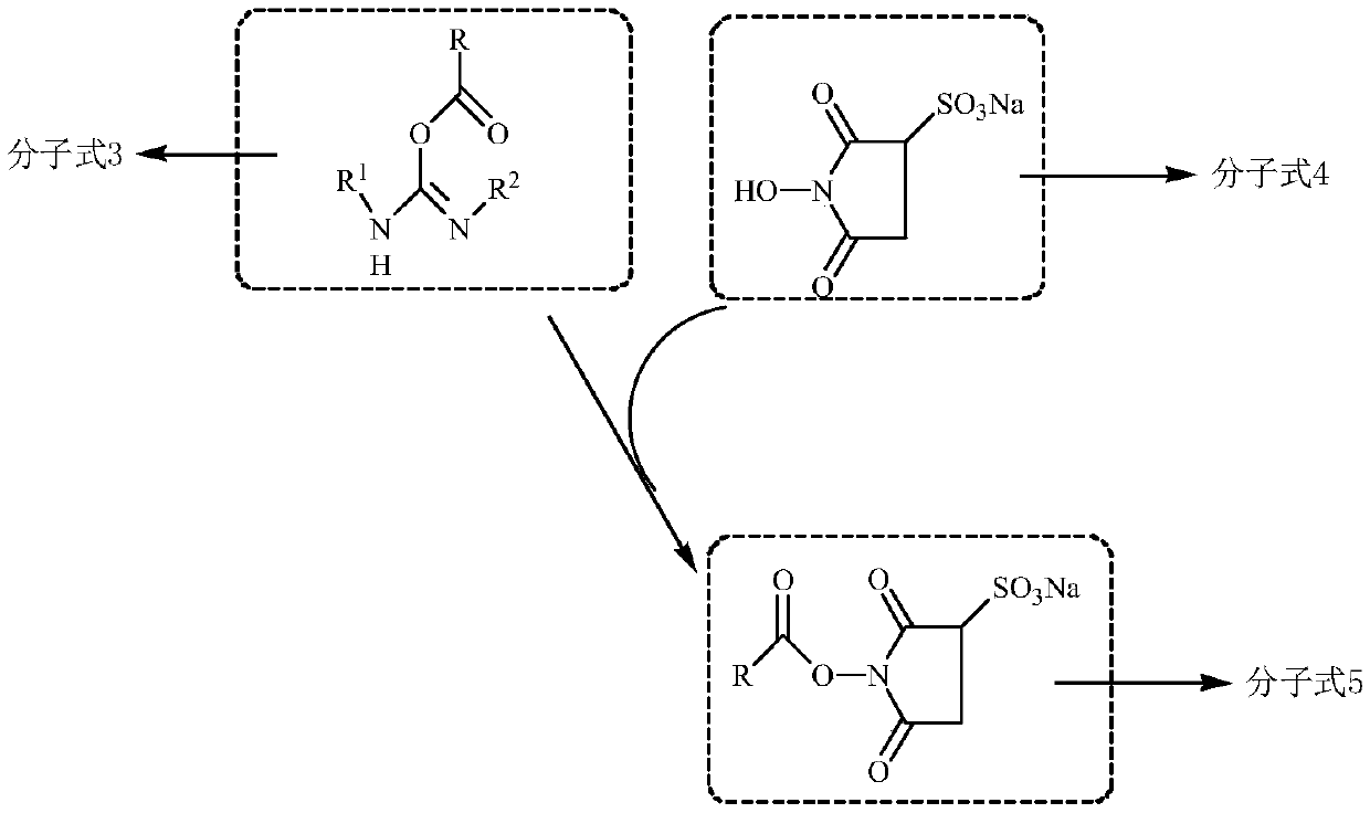 Preparation method and applications of sterol-based hapten-alkaline phosphatase cross-linked product