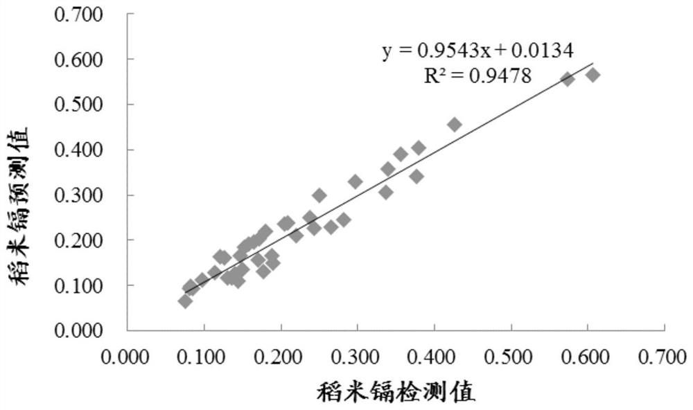 Early warning method of cadmium pollution risk in rice grains based on gradient thin film diffusion technology