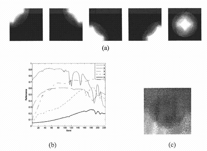 Mixed pixel decomposition method for remote sensing images