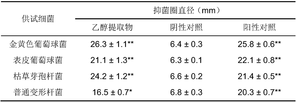 Microbial antibacterial extract as well as preparation method and application thereof