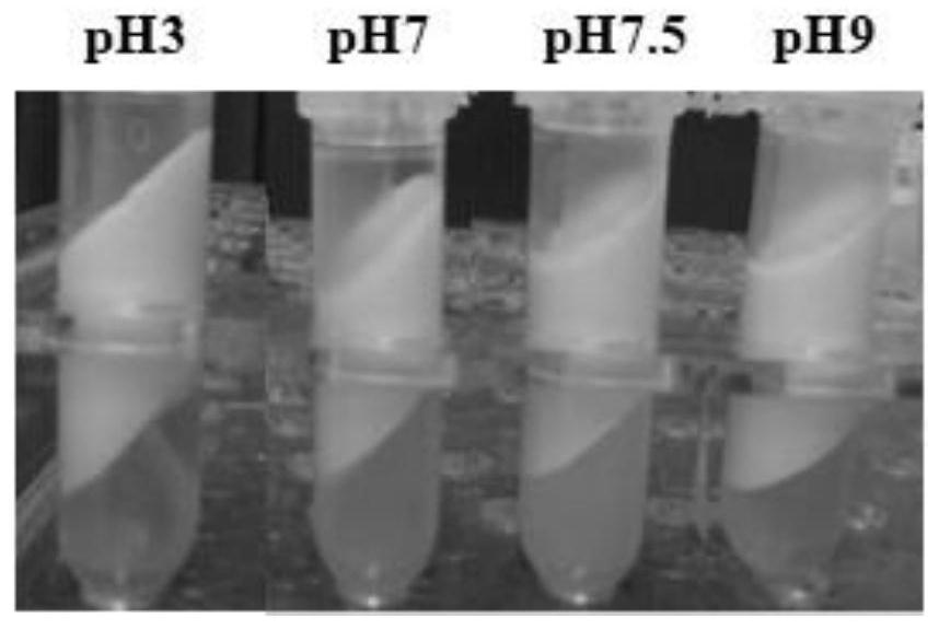 A high internal phase emulsion of soybean protein isolate-pectin complex stabilizing quercetin and its preparation method