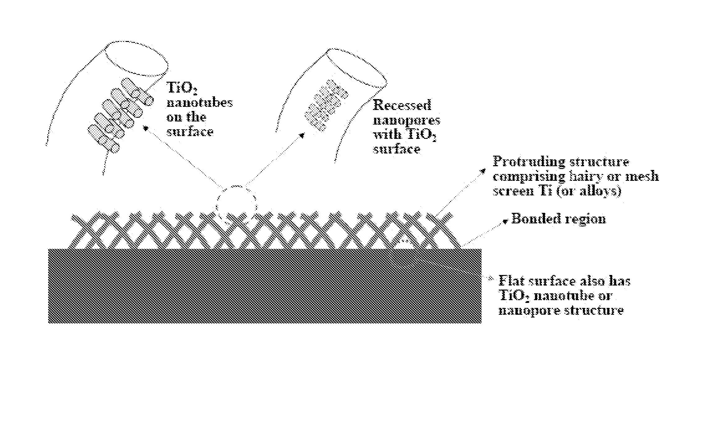 Articles comprising large-surface-area bio-compatible materials and methods for making and using them