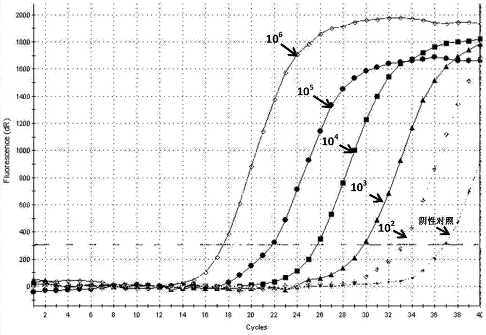 ARMS-based method for detecting botryis cinerea SdhB gene H272Y mutation