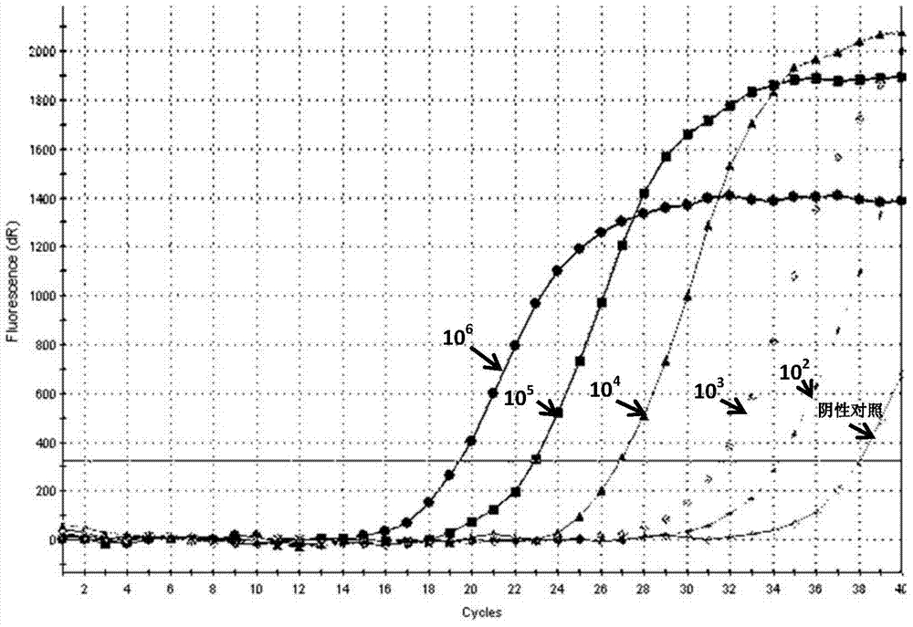 ARMS-based method for detecting botryis cinerea SdhB gene H272Y mutation