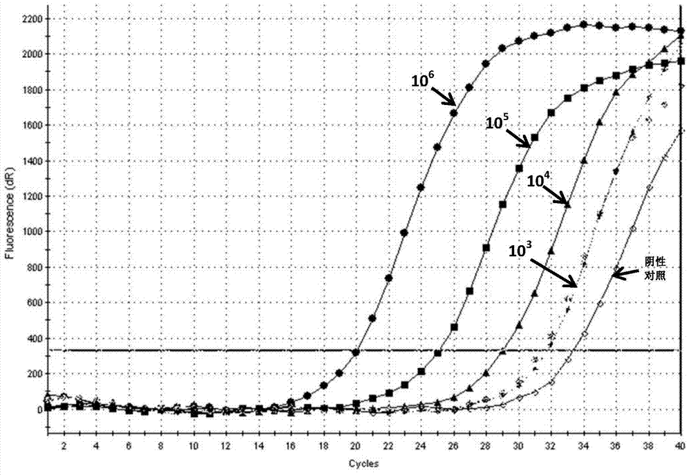 ARMS-based method for detecting botryis cinerea SdhB gene H272Y mutation