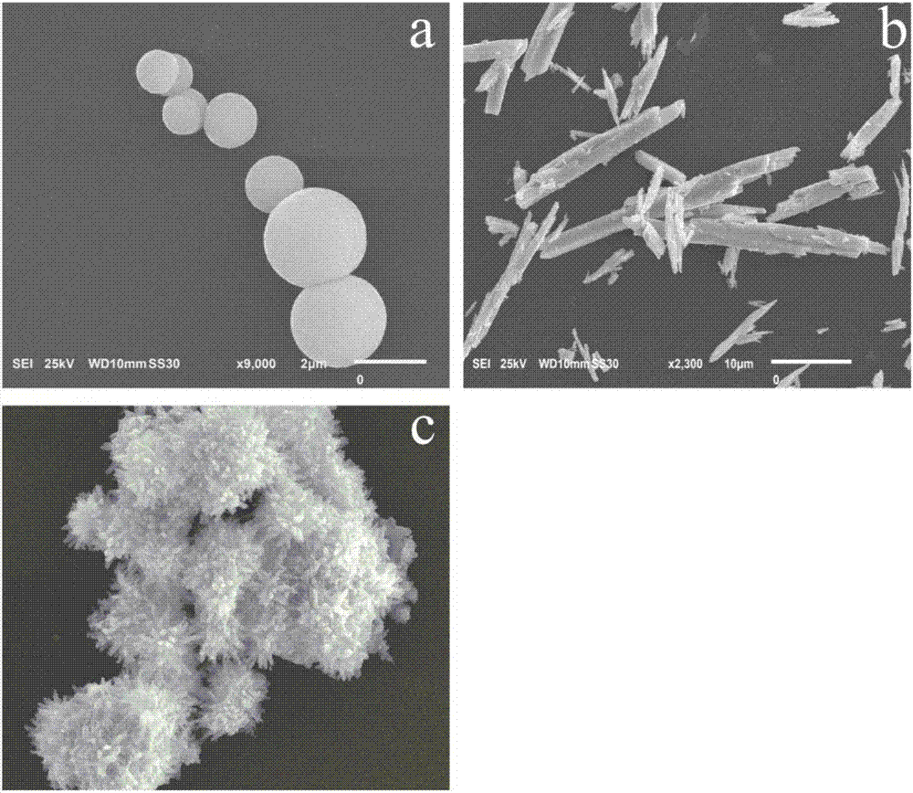 ZnS/Bi2O3 heterojunction molecularly-imprinted photocatalytic membrane, preparation method and application