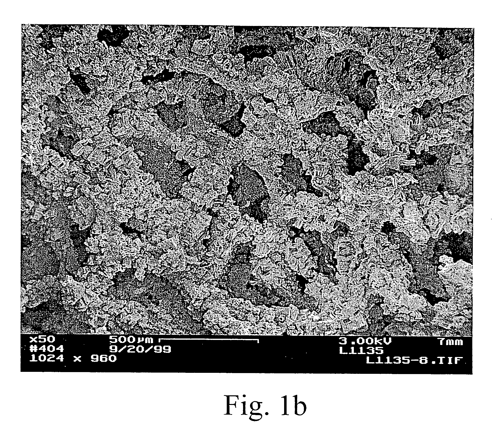 Carbon nanotube-containing structures, methods of making, and processes using same