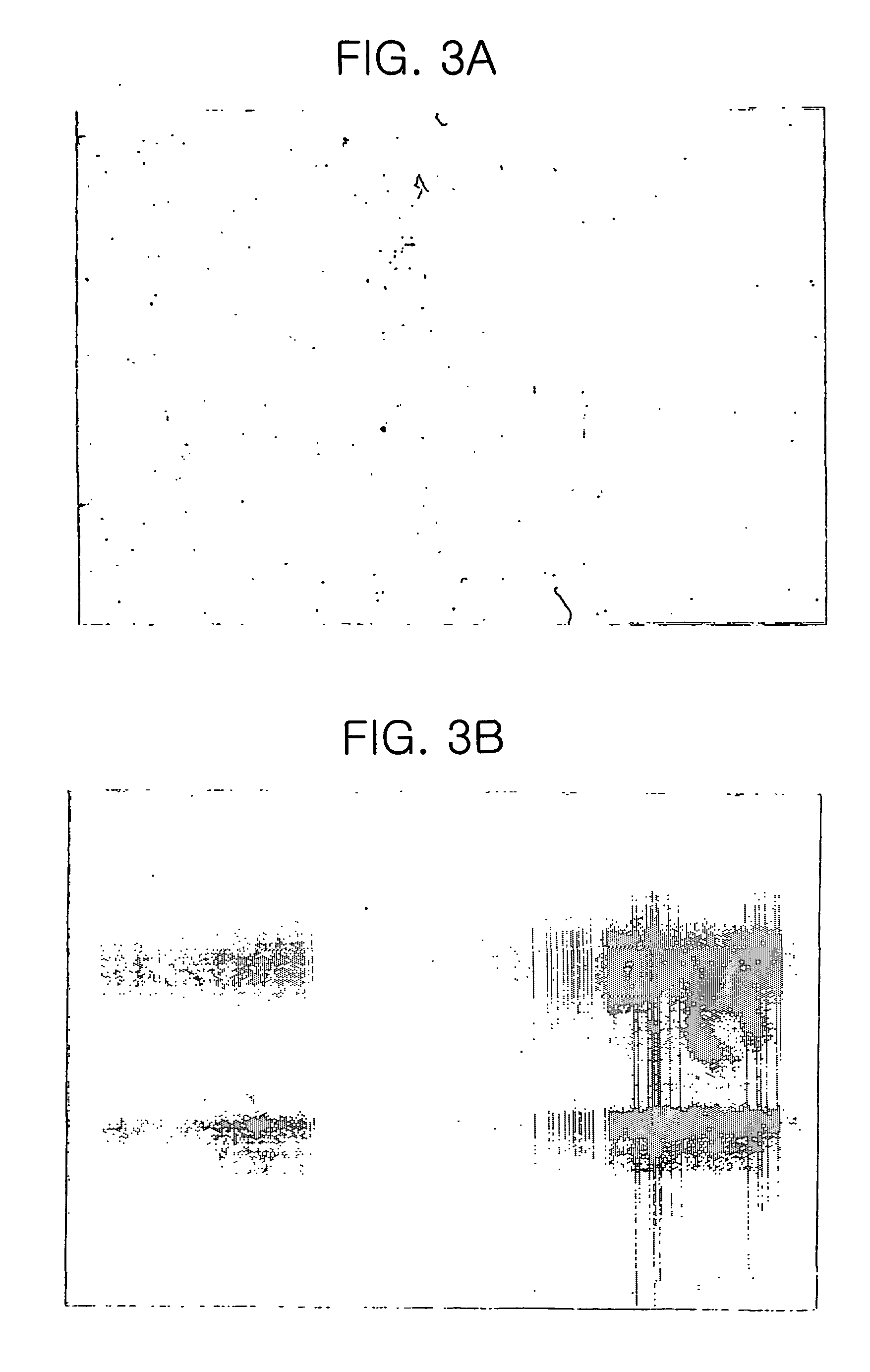 Method for differentiating mesenchymal stem cells into neural cells