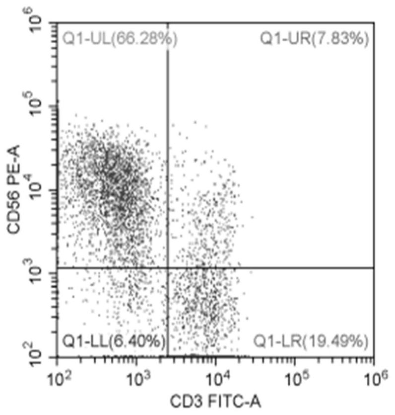 Resuscitation fluid and method for cryopreserved human PBMC