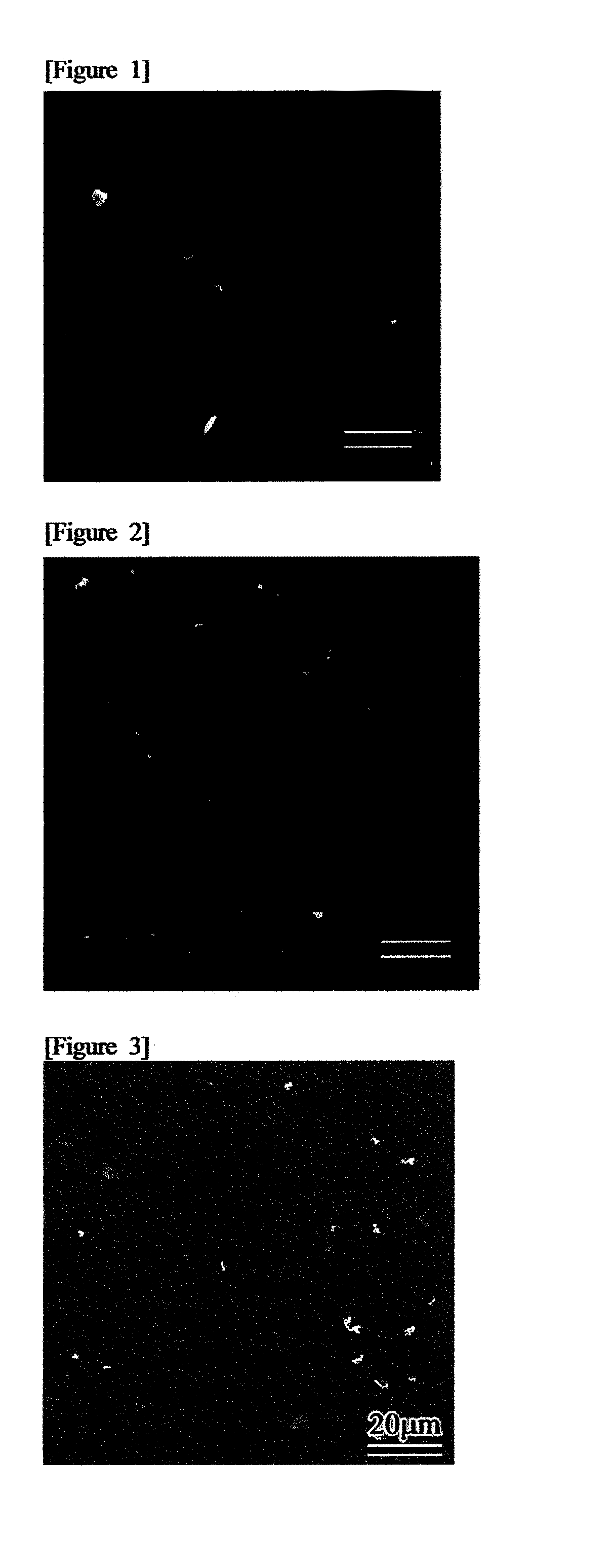 Oral composition for dental purposes