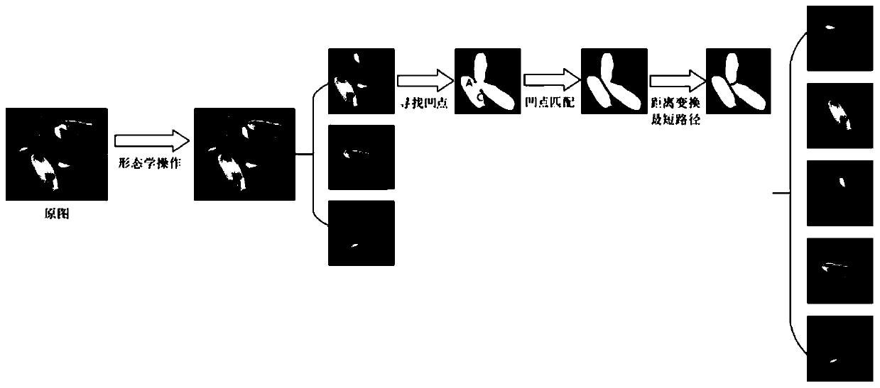 Improved adhesion particle target segmentation method based on concave point matching