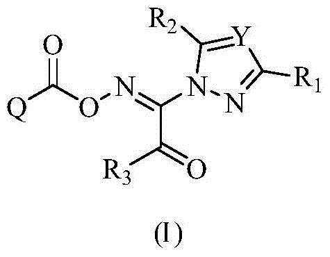 Oxime-containing carboxylate compound and use thereof