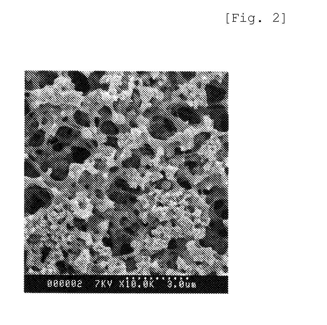 Porous Molded Article, and Method for Manufacturing the Same