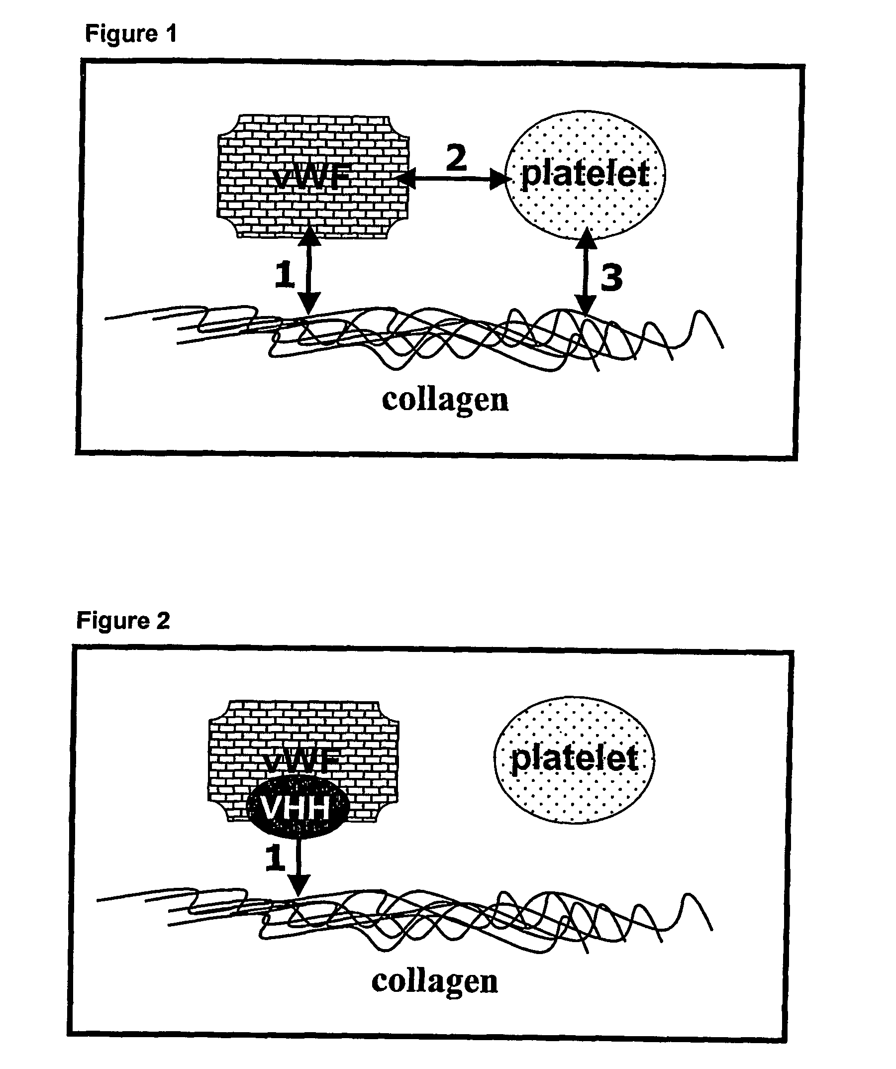 Polypeptides and polypeptide constructs comprising single domain antibodies directed against von Willebrand factor