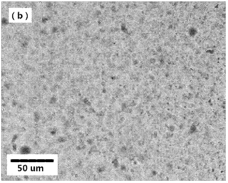 Ultrasonic-assisted method for preparing polymer functionalized graphene