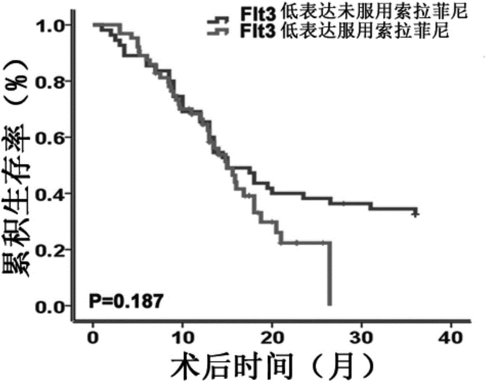 Applications of Flt3 protein in preparation of kit for evaluating liver cancer treating effect of sorafenib