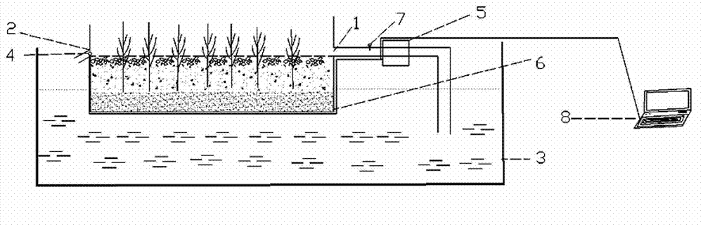 Device and method for determining anti-flooding and anti-scouring performances of aquatic plants