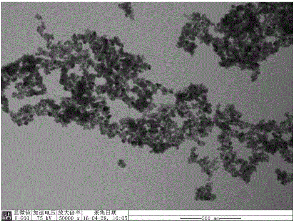 Magnetic molecularly imprinted material for identifying chlorophyll, preparation method of material and application