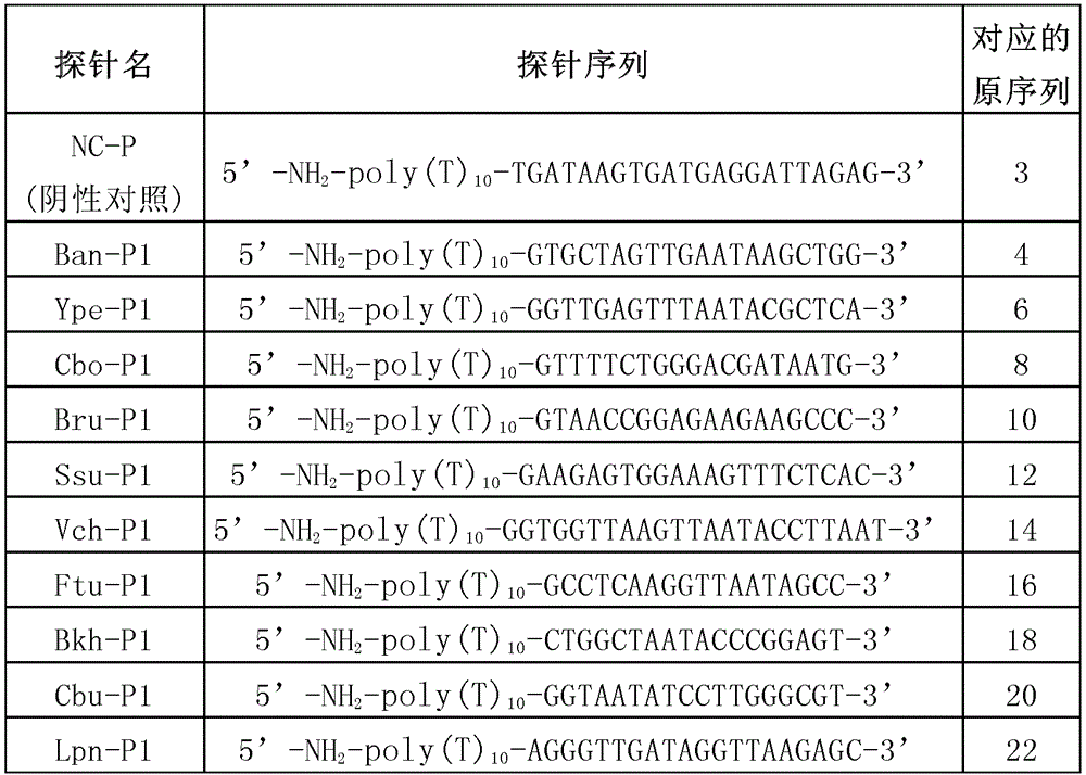 A method and kit for detecting multiple highly pathogenic pathogenic bacteria