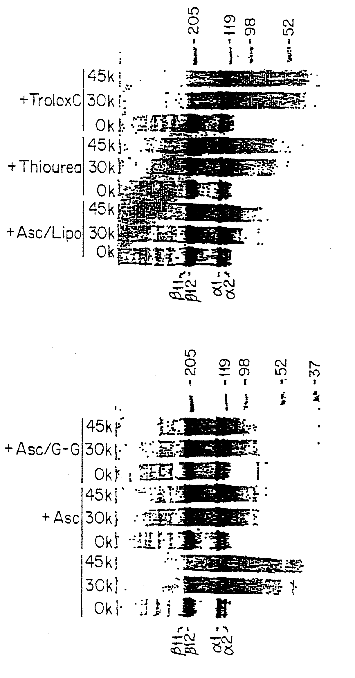 Methods for sterilizing tissue