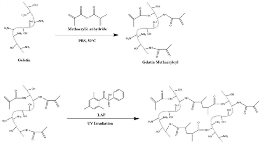 Artificial cubilose and preparation method thereof