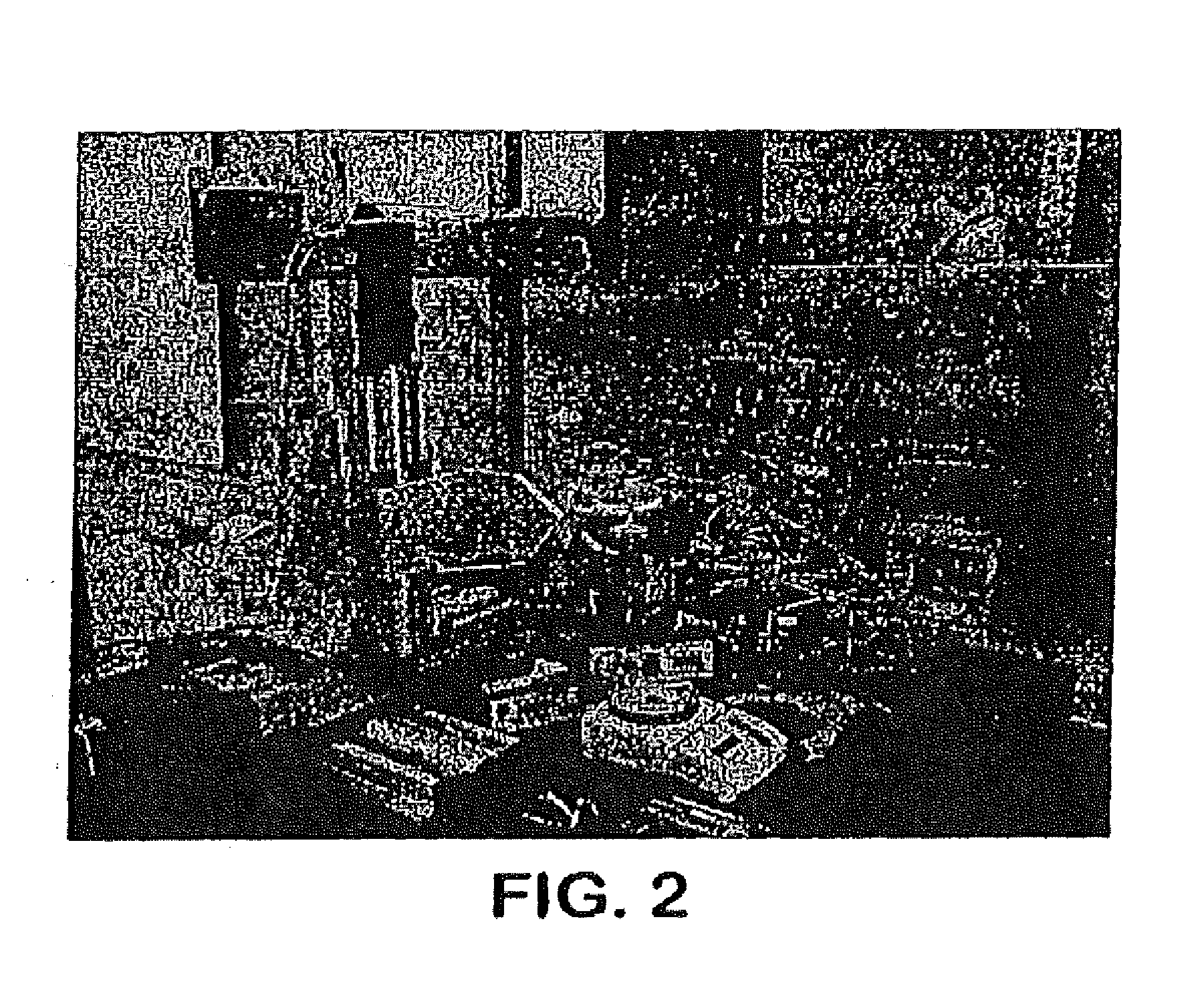 Bioprinted Nanoparticles and Methods of Use