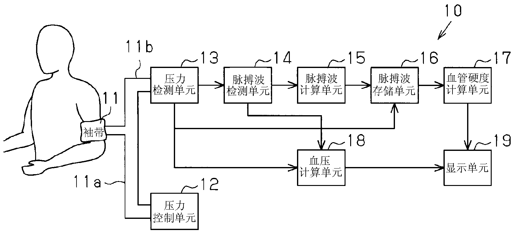 Circulatory dynamics measurement apparatus