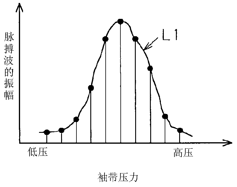 Circulatory dynamics measurement apparatus