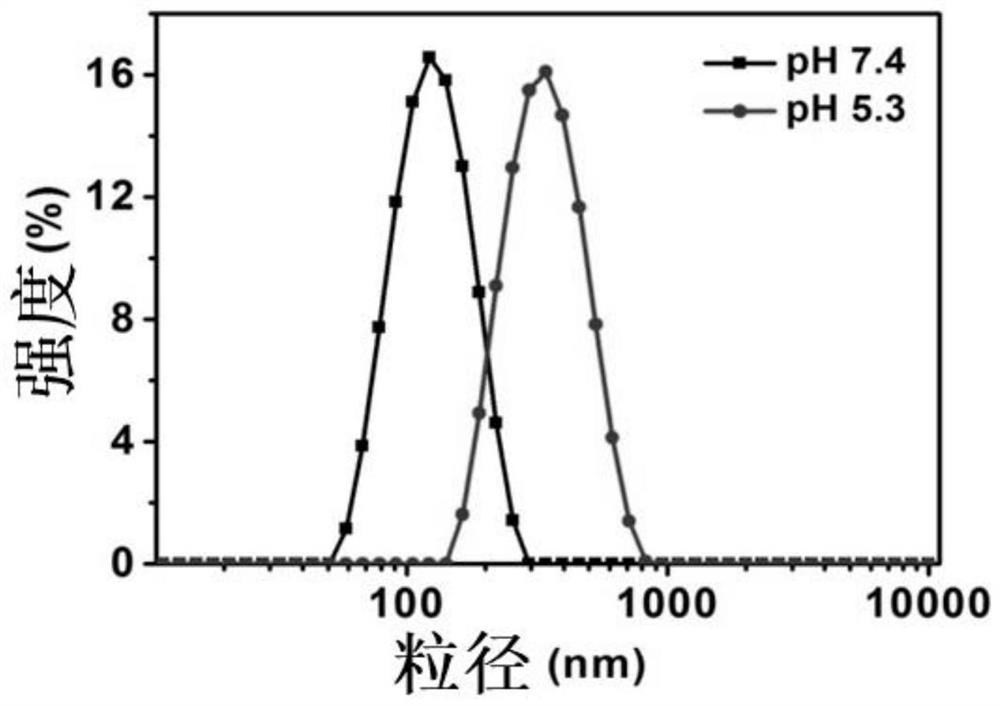 CD44-mediated intelligent response type polymer micelle as well as preparation and application thereof