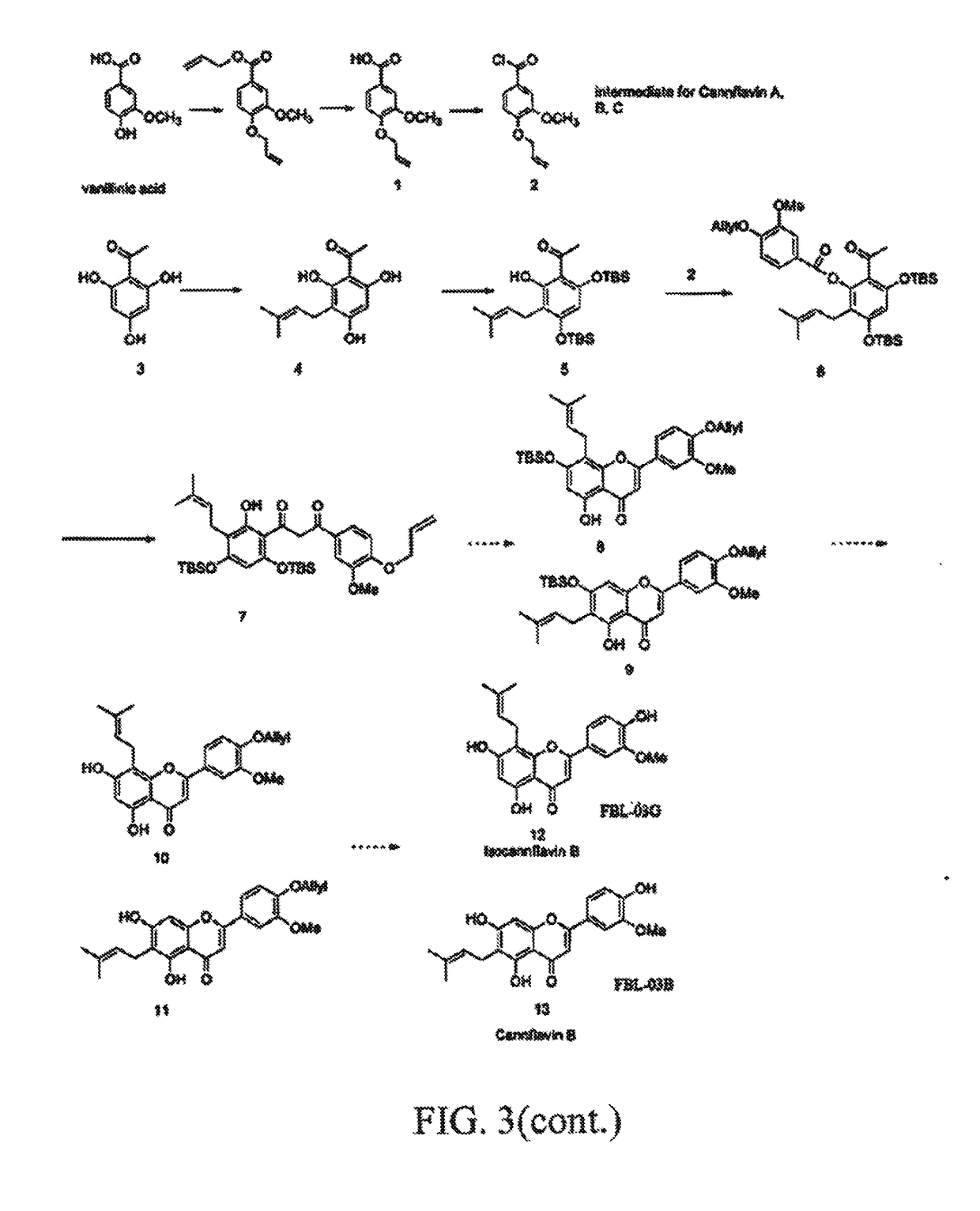 Therapeutic agents containing cannabis flavonoid derivatives targeting kinases, sirtuins and oncogenic agents for the treatment of cancers