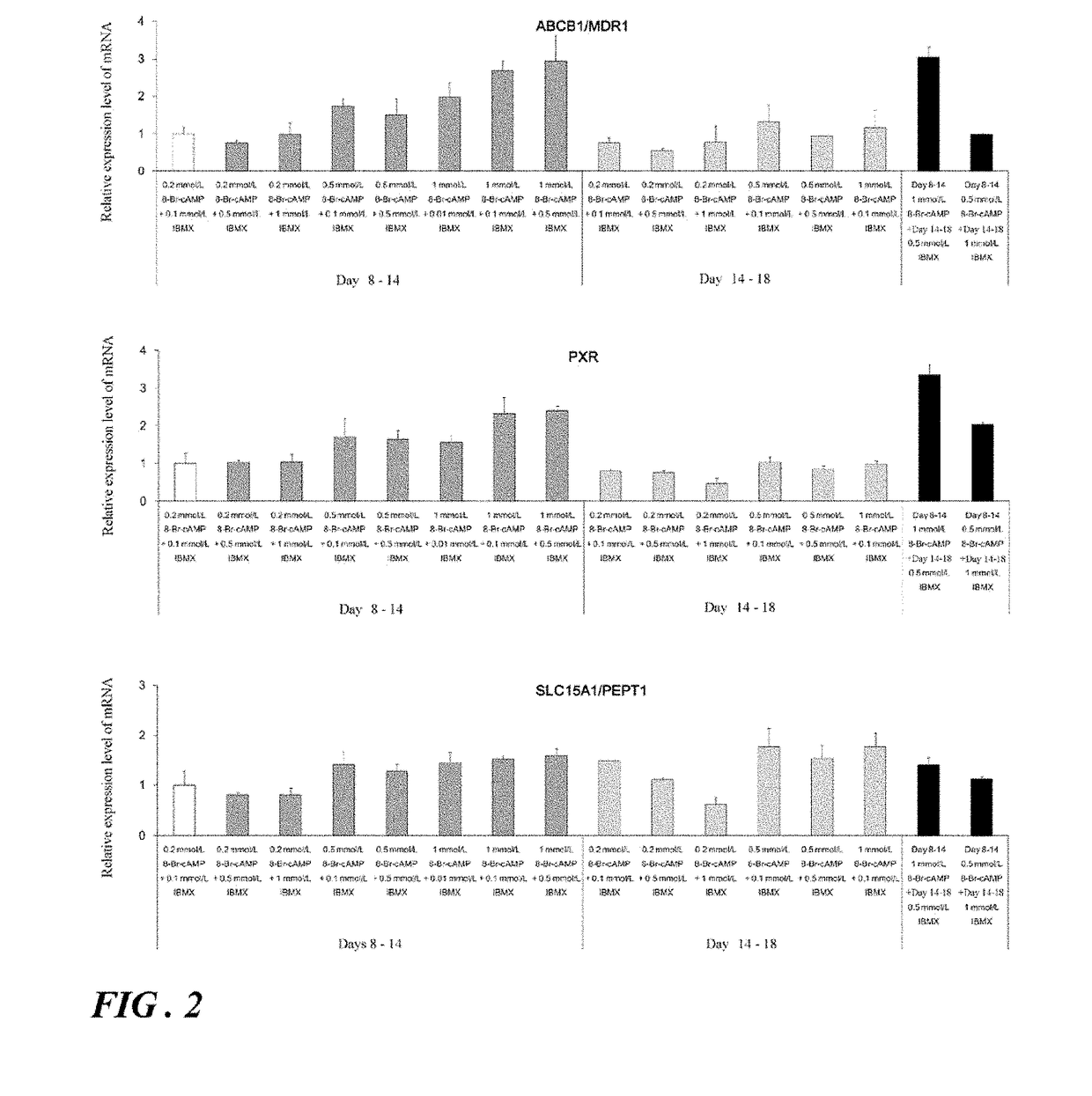 Induction of differentiation of induced pluripotent stem cells into intestinal epithelial cells