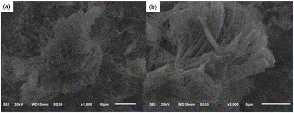 Novel composite material for drug carrier, as well as preparation method and application thereof