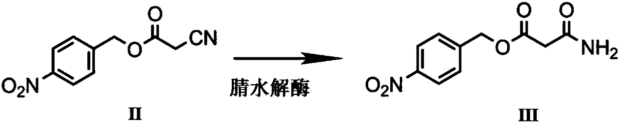 Biological preparation method of p-nitrobenzyl alcohol propandioic acid monoester