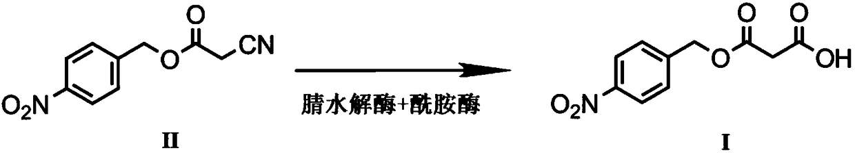 Biological preparation method of p-nitrobenzyl alcohol propandioic acid monoester