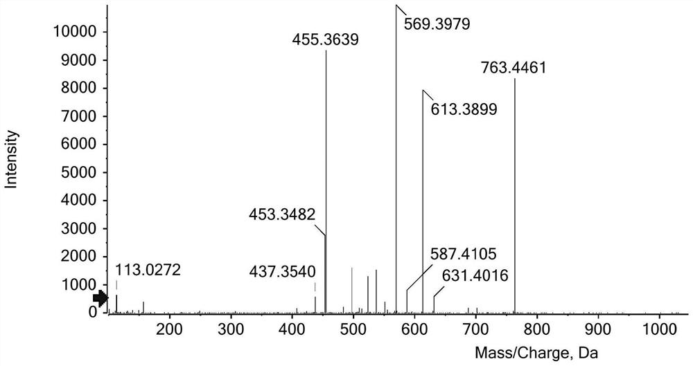 Panax japonicus saponin glucoside hydrolase and application thereof in production of notoginsenoside R1