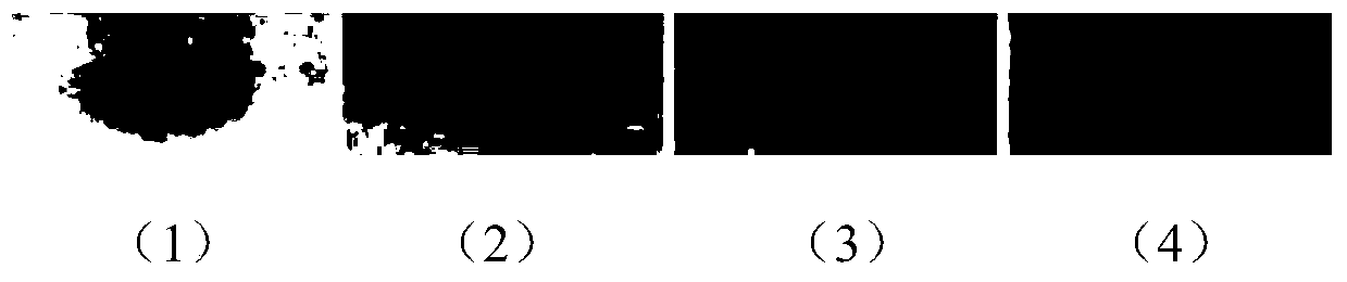 A method for screening nifedipine by high performance thin layer chromatography combined with bioluminescence