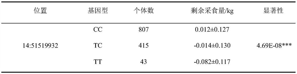 A kind of SNP molecular marker related to the remaining feed intake of pigs and its application