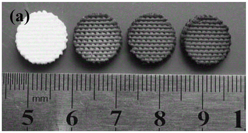 Biological ceramic scaffold with surface micro-nano structure and preparation method and application of biological ceramic scaffold with surface micro-nano structure
