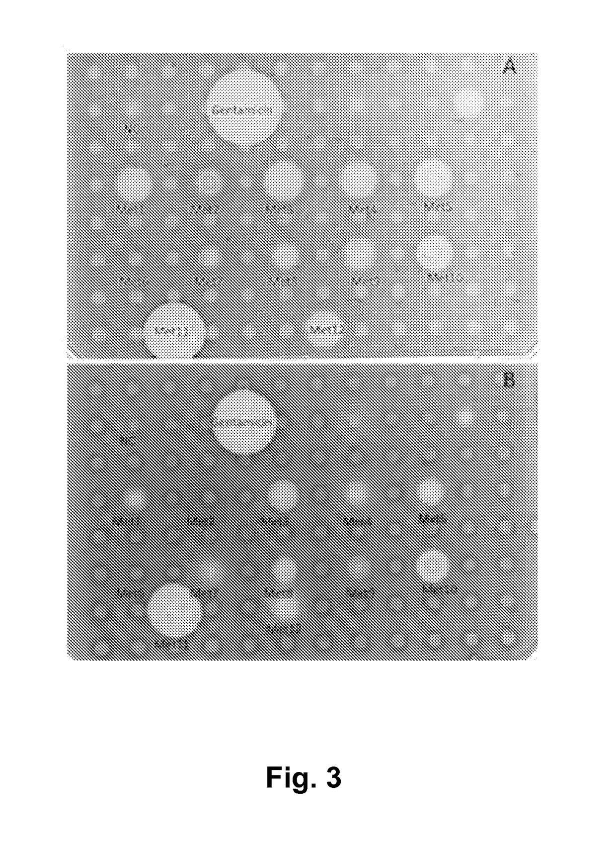 New antimicrobial peptides, their variants and uses