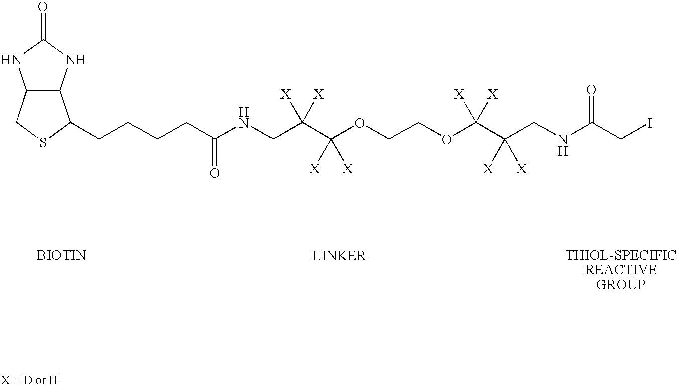 Method of identifying peptides in a proteomic sample