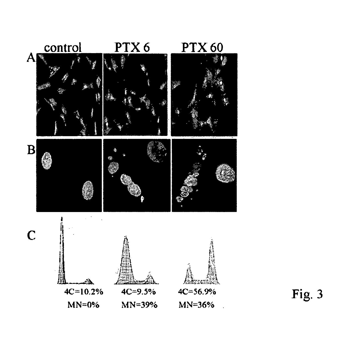 Medical devices and methods for inhibiting smooth muscle cell proliferation
