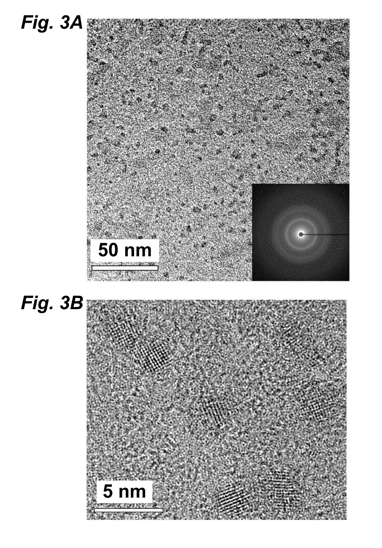 Isolated enzymatic manufacture of semiconductor nanoparticles
