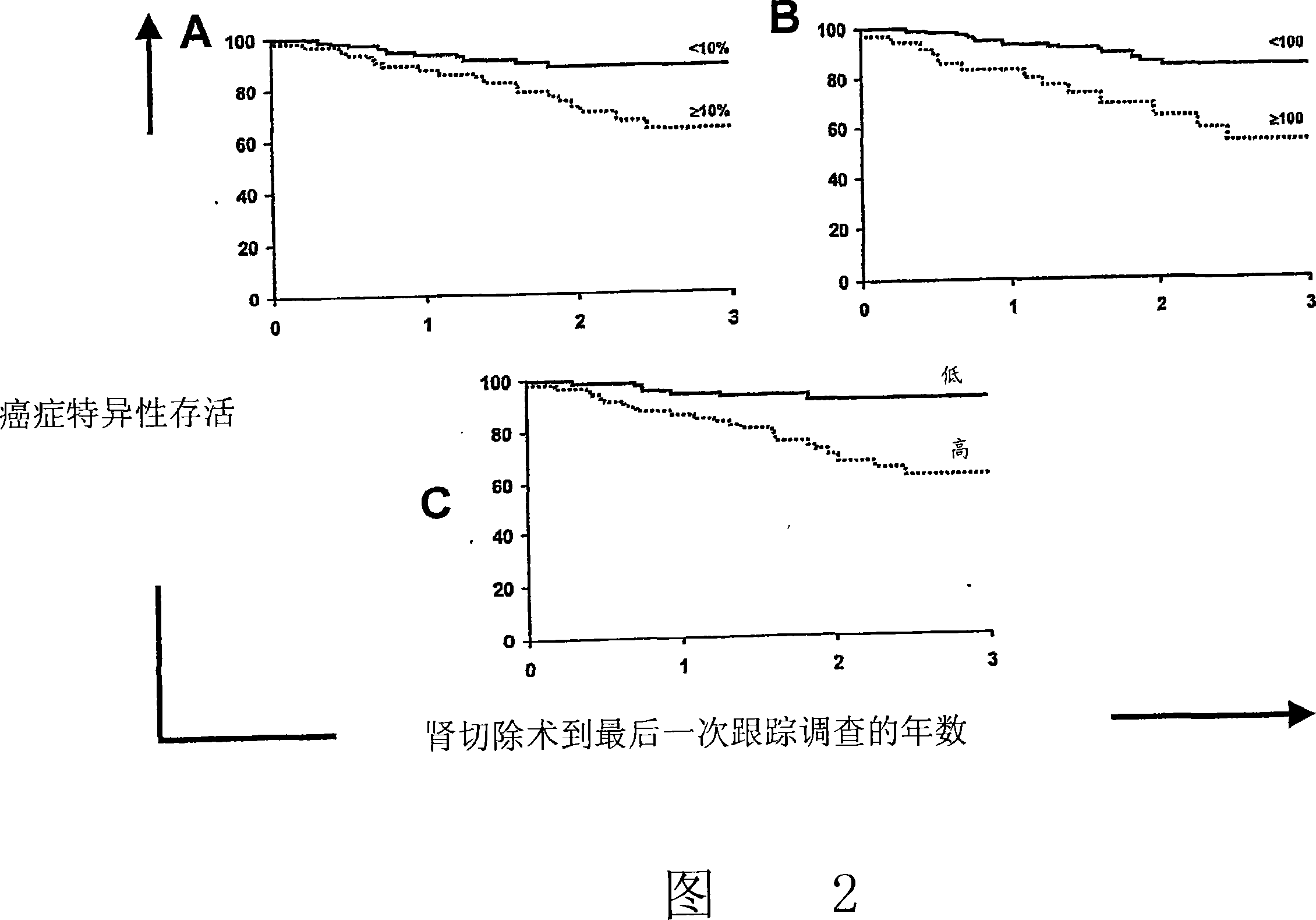 B7-h1 and methods of diagnosis, prognosis, and treatment of cancer